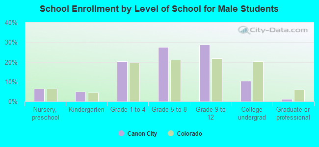 School Enrollment by Level of School for Male Students