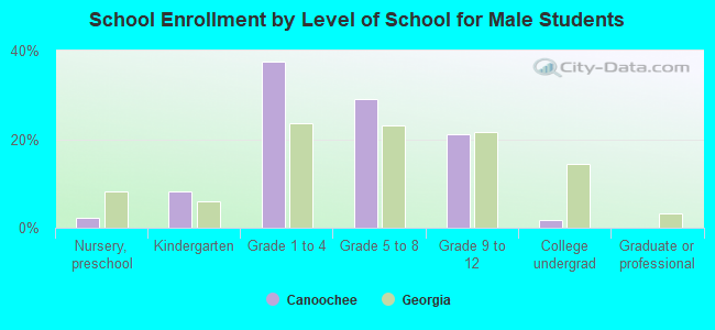 School Enrollment by Level of School for Male Students