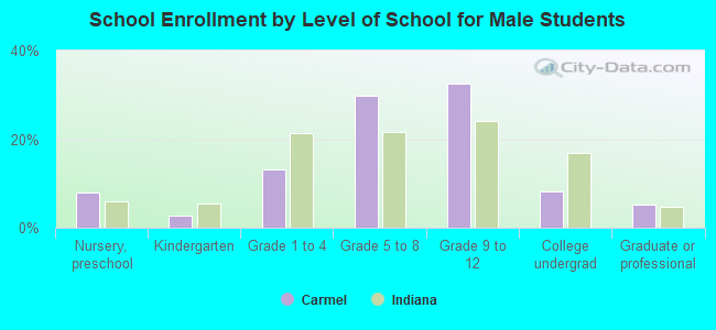 School Enrollment by Level of School for Male Students