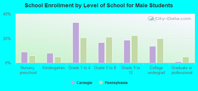 School Enrollment by Level of School for Male Students