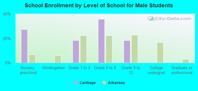 School Enrollment by Level of School for Male Students