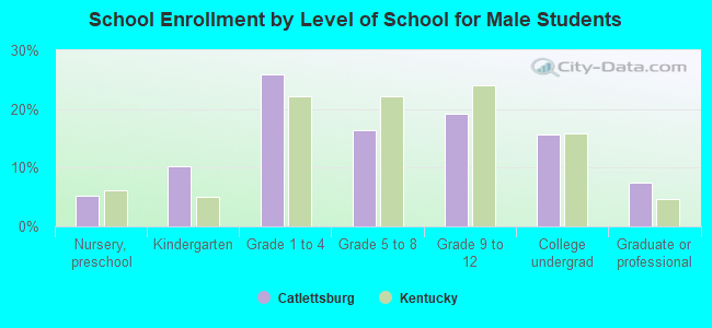 School Enrollment by Level of School for Male Students