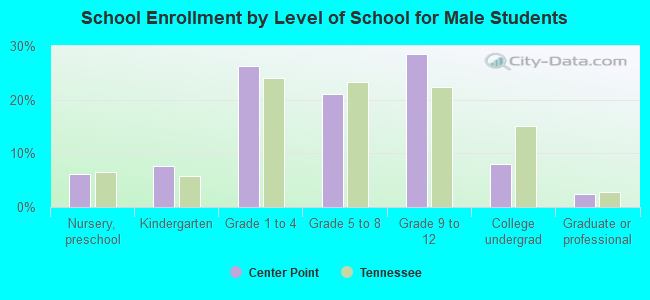 School Enrollment by Level of School for Male Students