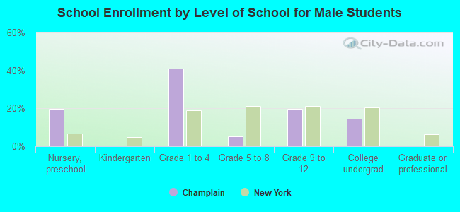 School Enrollment by Level of School for Male Students