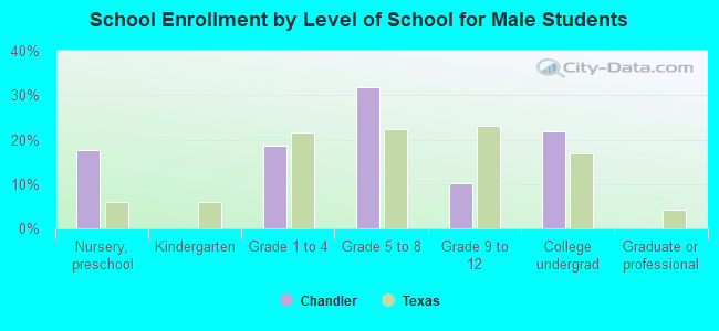 School Enrollment by Level of School for Male Students