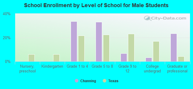 School Enrollment by Level of School for Male Students