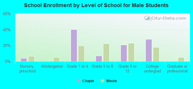 School Enrollment by Level of School for Male Students