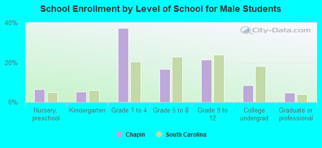 School Enrollment by Level of School for Male Students