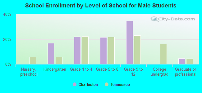 School Enrollment by Level of School for Male Students