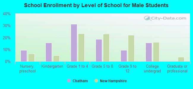 School Enrollment by Level of School for Male Students