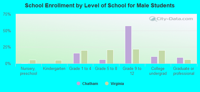 School Enrollment by Level of School for Male Students