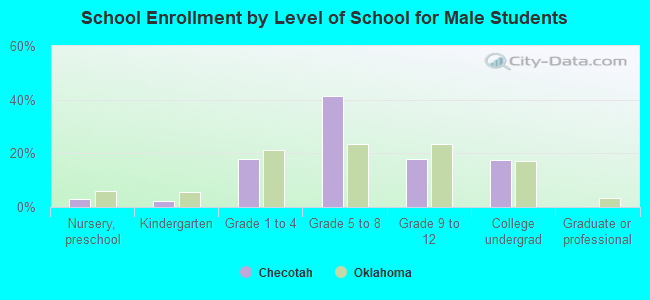 School Enrollment by Level of School for Male Students