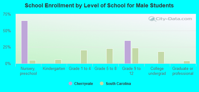 School Enrollment by Level of School for Male Students