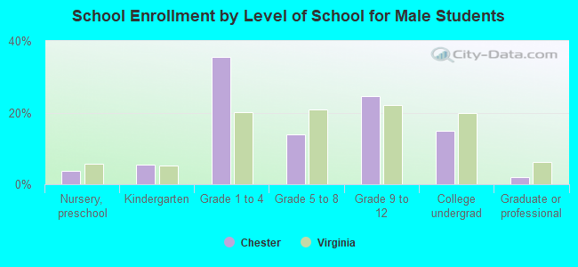 School Enrollment by Level of School for Male Students