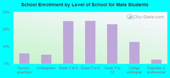 School Enrollment by Level of School for Male Students