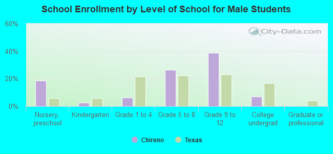 School Enrollment by Level of School for Male Students