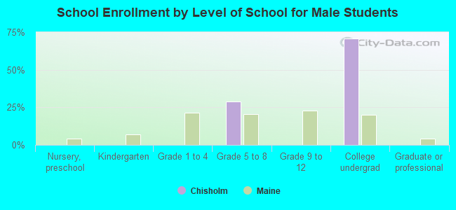 School Enrollment by Level of School for Male Students