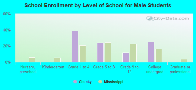 School Enrollment by Level of School for Male Students