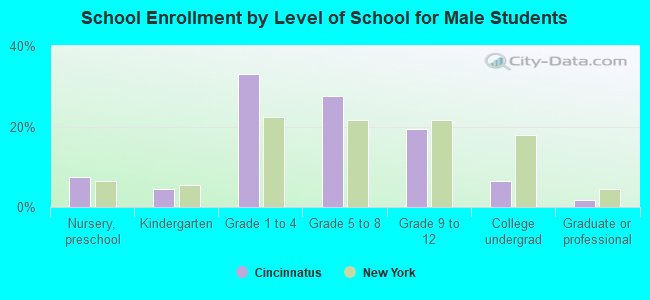 School Enrollment by Level of School for Male Students