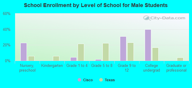 School Enrollment by Level of School for Male Students