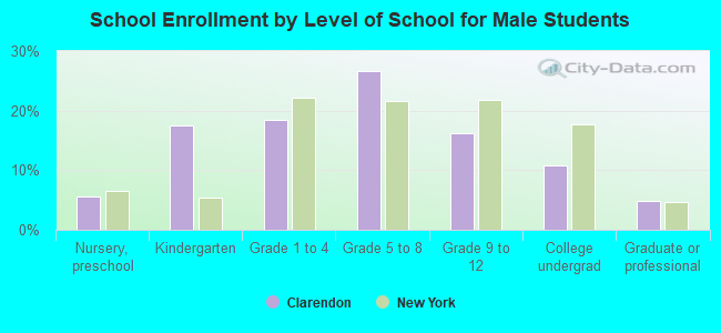 School Enrollment by Level of School for Male Students