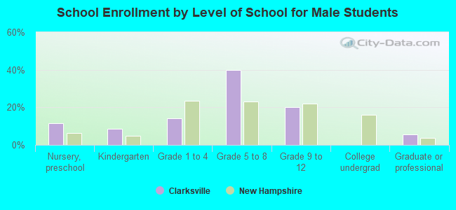 School Enrollment by Level of School for Male Students