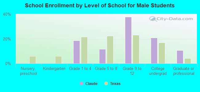 School Enrollment by Level of School for Male Students