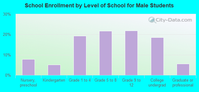 School Enrollment by Level of School for Male Students