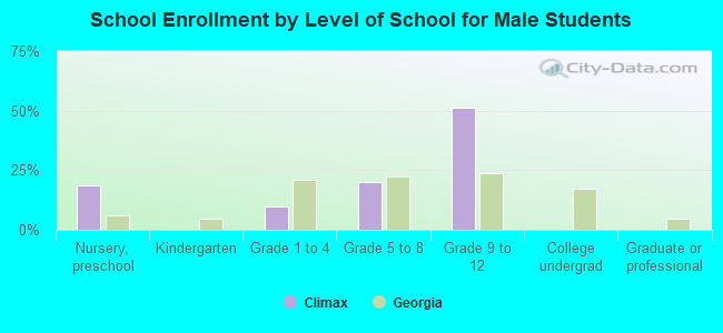 School Enrollment by Level of School for Male Students