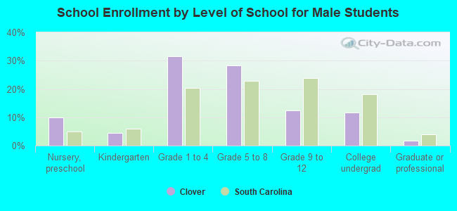 School Enrollment by Level of School for Male Students