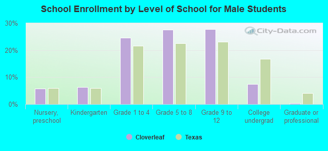 School Enrollment by Level of School for Male Students