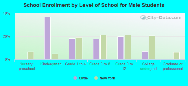 School Enrollment by Level of School for Male Students