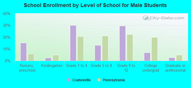 School Enrollment by Level of School for Male Students