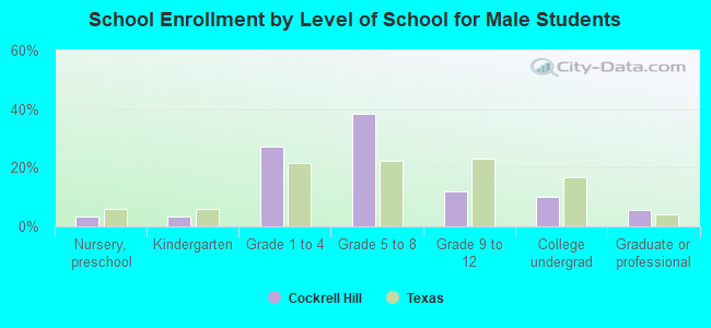 School Enrollment by Level of School for Male Students