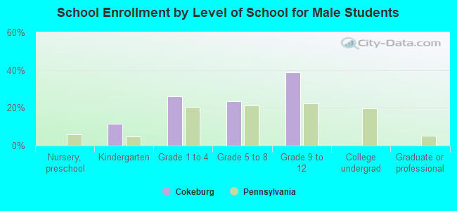 School Enrollment by Level of School for Male Students