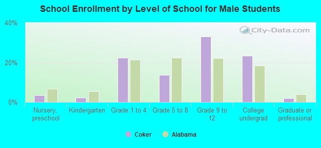 School Enrollment by Level of School for Male Students