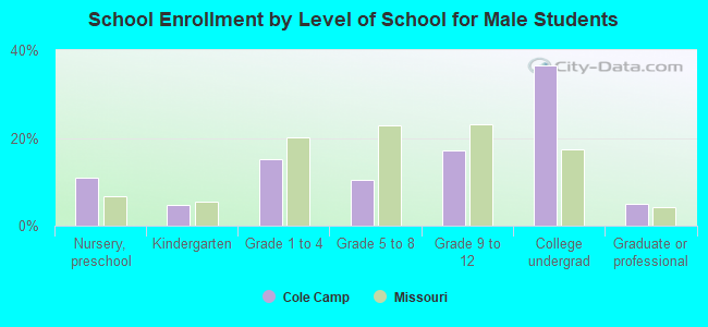 School Enrollment by Level of School for Male Students