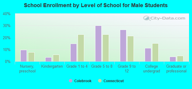 School Enrollment by Level of School for Male Students