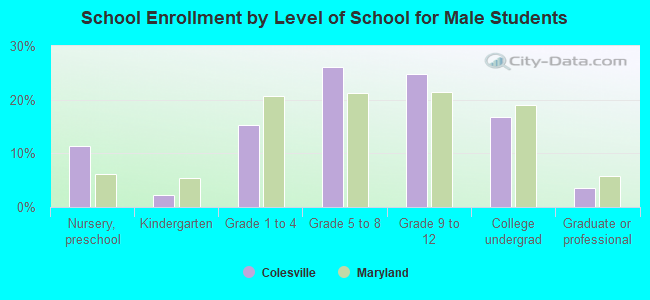 School Enrollment by Level of School for Male Students