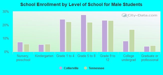 School Enrollment by Level of School for Male Students