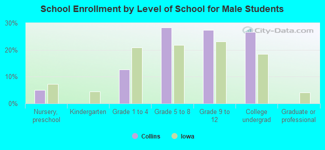 School Enrollment by Level of School for Male Students