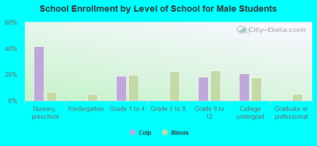 School Enrollment by Level of School for Male Students