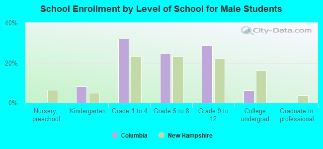 School Enrollment by Level of School for Male Students