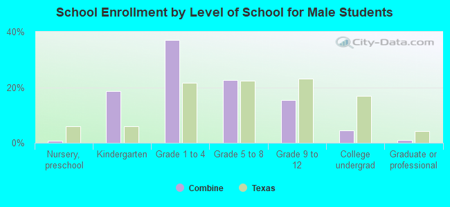 School Enrollment by Level of School for Male Students