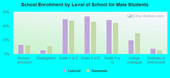 School Enrollment by Level of School for Male Students