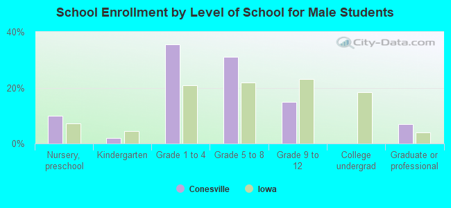 School Enrollment by Level of School for Male Students