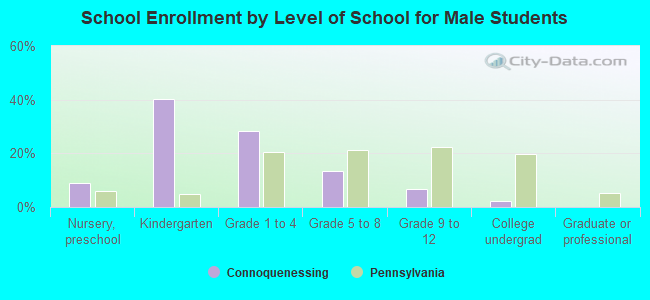 School Enrollment by Level of School for Male Students