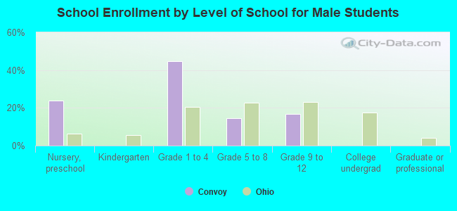 School Enrollment by Level of School for Male Students