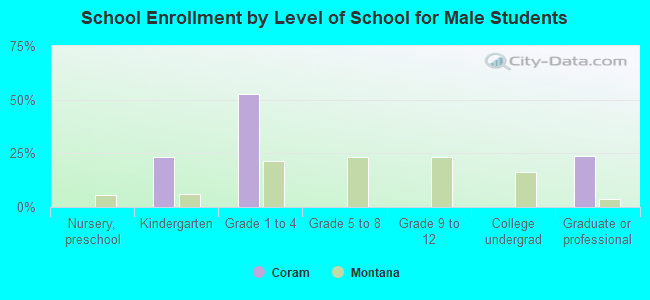 School Enrollment by Level of School for Male Students