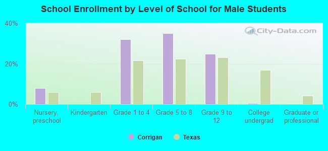 School Enrollment by Level of School for Male Students